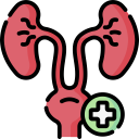 Urolog